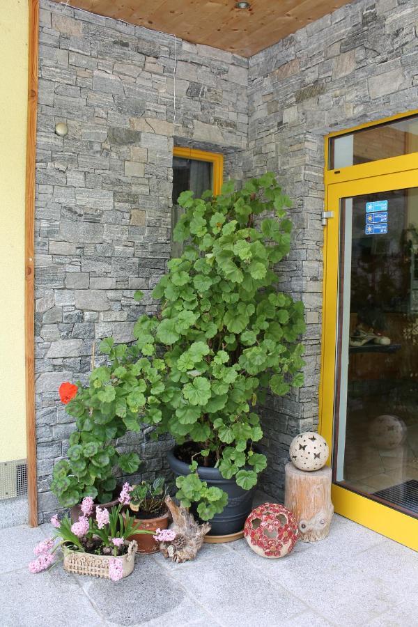 Ferienhotel Samerhof Pfarrwerfen Dış mekan fotoğraf