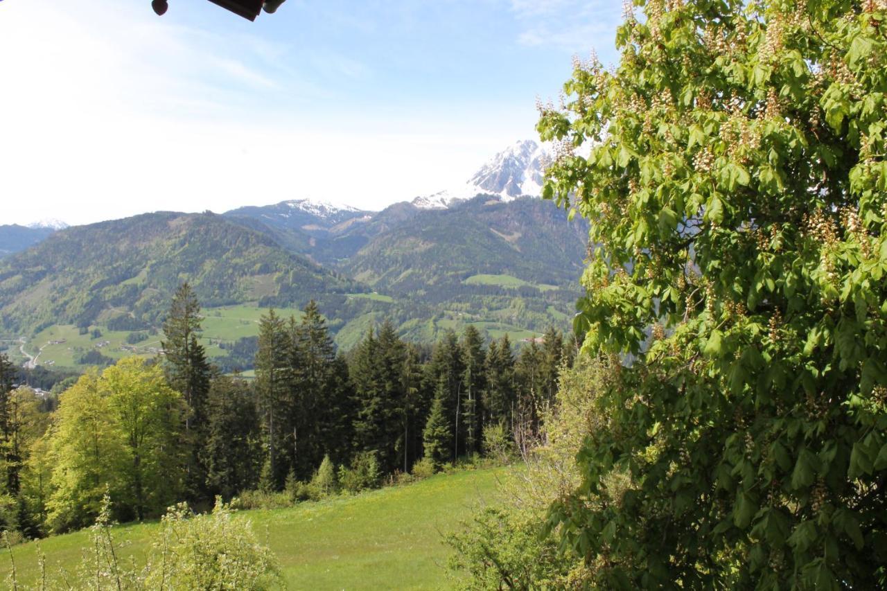 Ferienhotel Samerhof Pfarrwerfen Dış mekan fotoğraf