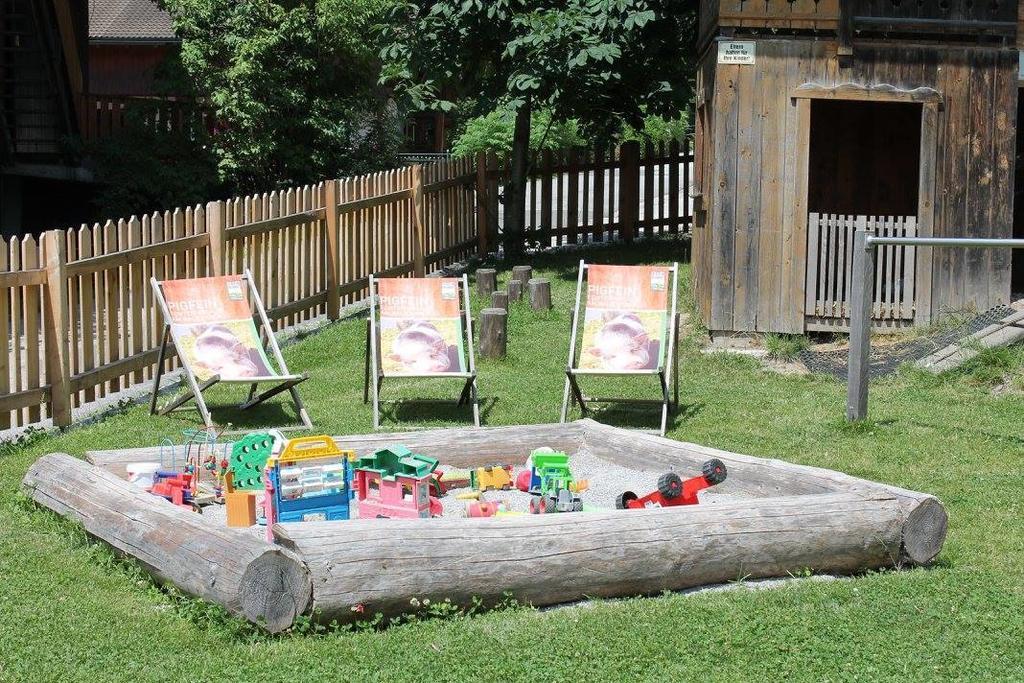 Ferienhotel Samerhof Pfarrwerfen Dış mekan fotoğraf