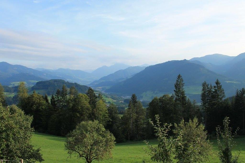 Ferienhotel Samerhof Pfarrwerfen Dış mekan fotoğraf