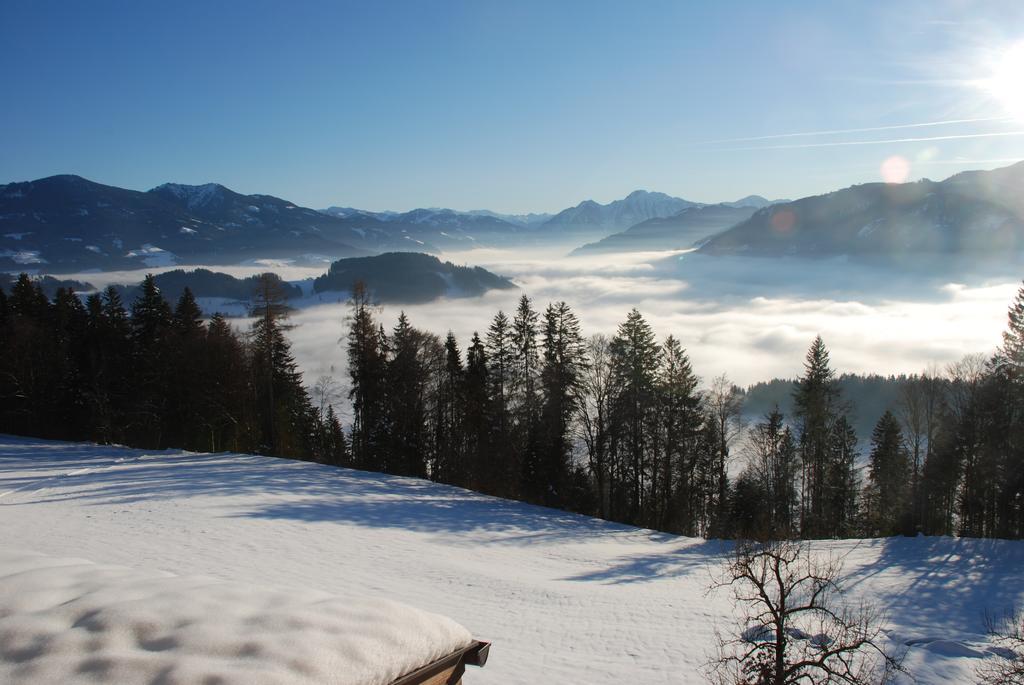 Ferienhotel Samerhof Pfarrwerfen Oda fotoğraf