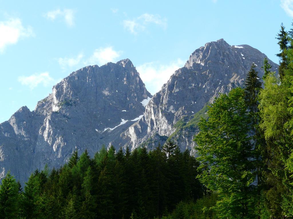 Ferienhotel Samerhof Pfarrwerfen Oda fotoğraf